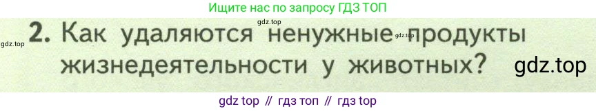 ГДЗ Биология, 6 класс Учебник, авторы: Пасечник Владимир Васильевич, Суматохин Сергей Витальевич, Гапонюк Зоя Георгиевна, Швецов Глеб Геннадьевич, издательство Просвещение, Москва, 2023, белого цвета, страница 116, номер 2, Условие