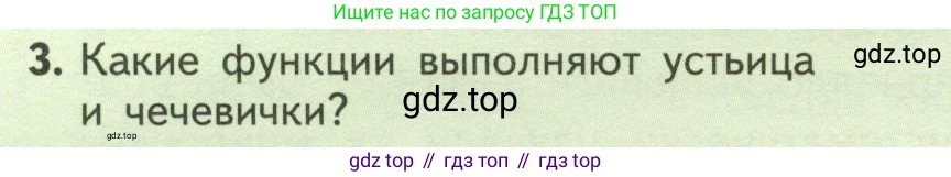 ГДЗ Биология, 6 класс Учебник, авторы: Пасечник Владимир Васильевич, Суматохин Сергей Витальевич, Гапонюк Зоя Георгиевна, Швецов Глеб Геннадьевич, издательство Просвещение, Москва, 2023, белого цвета, страница 116, номер 3, Условие