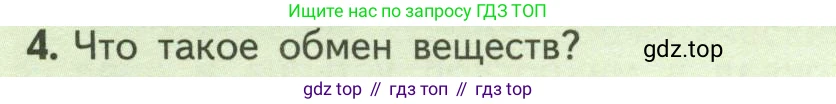 ГДЗ Биология, 6 класс Учебник, авторы: Пасечник Владимир Васильевич, Суматохин Сергей Витальевич, Гапонюк Зоя Георгиевна, Швецов Глеб Геннадьевич, издательство Просвещение, Москва, 2023, белого цвета, страница 116, номер 4, Условие