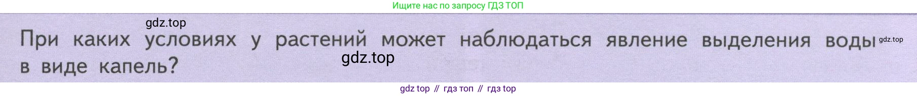ГДЗ Биология, 6 класс Учебник, авторы: Пасечник Владимир Васильевич, Суматохин Сергей Витальевич, Гапонюк Зоя Георгиевна, Швецов Глеб Геннадьевич, издательство Просвещение, Москва, 2023, белого цвета, страница 119, Условие