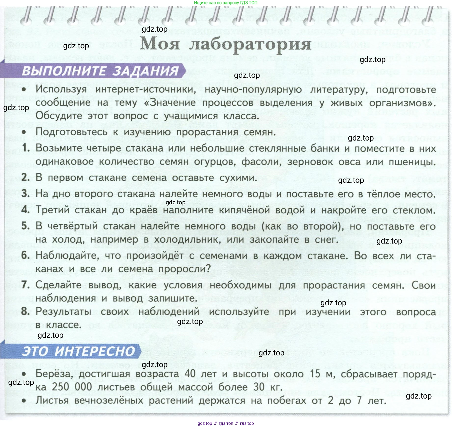 Биология, 6 класс Учебник, авторы: Пасечник Владимир Васильевич, Суматохин Сергей Витальевич, Гапонюк Зоя Георгиевна, Швецов Глеб Геннадьевич, издательство Просвещение, Москва, 2023, белого цвета, страница 119, Условие