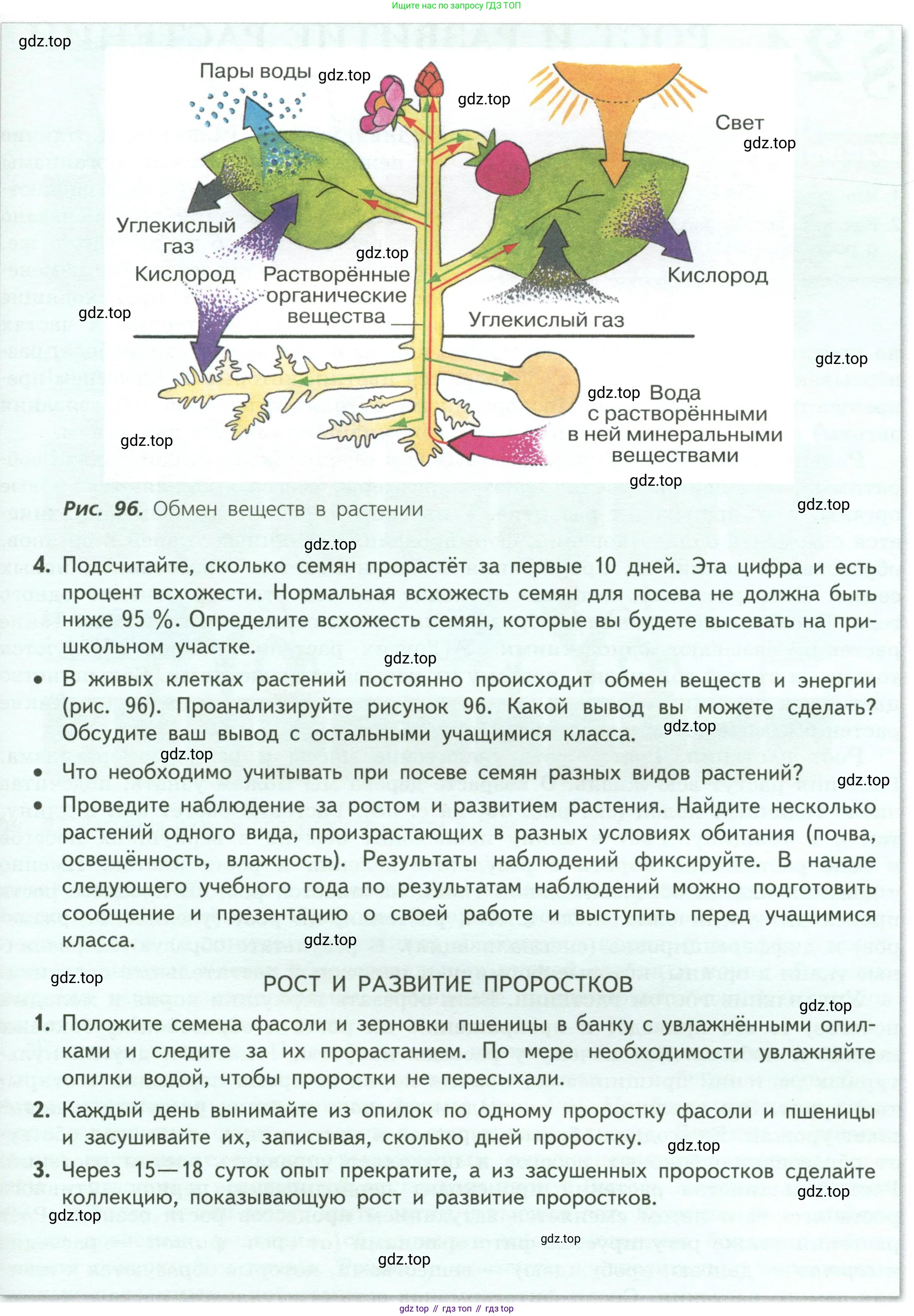 ГДЗ Биология, 6 класс Учебник, авторы: Пасечник Владимир Васильевич, Суматохин Сергей Витальевич, Гапонюк Зоя Георгиевна, Швецов Глеб Геннадьевич, издательство Просвещение, Москва, 2023, белого цвета, страница 124, Условие (продолжение 2)