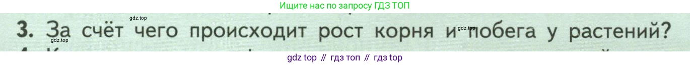 ГДЗ Биология, 6 класс Учебник, авторы: Пасечник Владимир Васильевич, Суматохин Сергей Витальевич, Гапонюк Зоя Георгиевна, Швецов Глеб Геннадьевич, издательство Просвещение, Москва, 2023, белого цвета, страница 129, номер 3, Условие