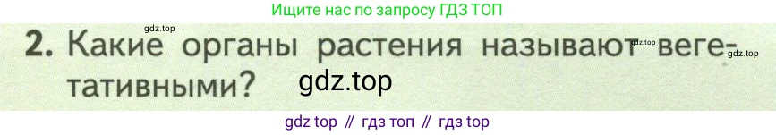 ГДЗ Биология, 6 класс Учебник, авторы: Пасечник Владимир Васильевич, Суматохин Сергей Витальевич, Гапонюк Зоя Георгиевна, Швецов Глеб Геннадьевич, издательство Просвещение, Москва, 2023, белого цвета, страница 130, номер 2, Условие