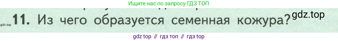 ГДЗ Биология, 6 класс Учебник, авторы: Пасечник Владимир Васильевич, Суматохин Сергей Витальевич, Гапонюк Зоя Георгиевна, Швецов Глеб Геннадьевич, издательство Просвещение, Москва, 2023, белого цвета, страница 133, номер 11, Условие