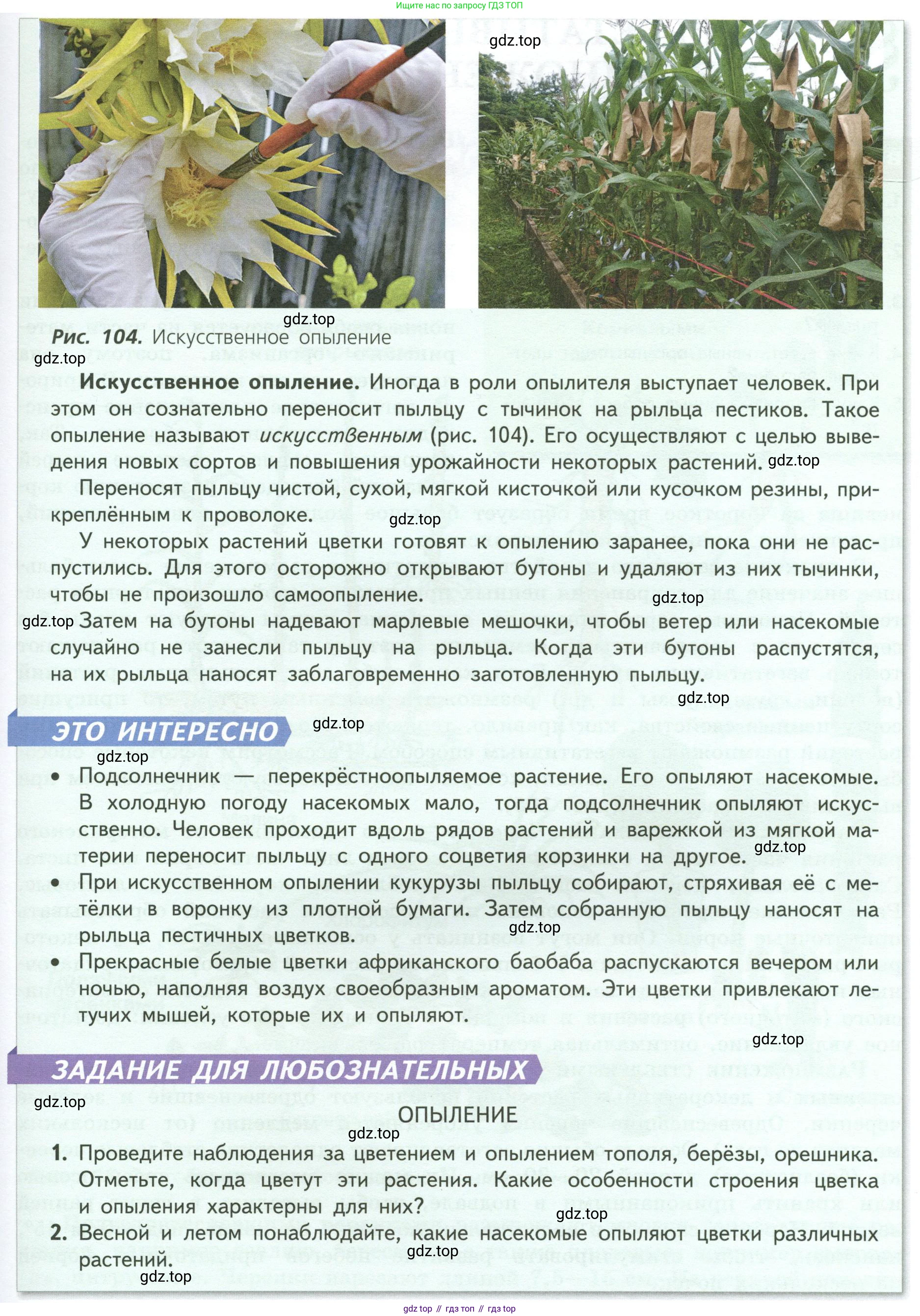 ГДЗ Биология, 6 класс Учебник, авторы: Пасечник Владимир Васильевич, Суматохин Сергей Витальевич, Гапонюк Зоя Георгиевна, Швецов Глеб Геннадьевич, издательство Просвещение, Москва, 2023, белого цвета, страница 133, Условие (продолжение 3)