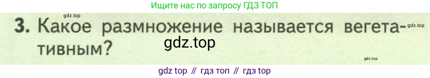 ГДЗ Биология, 6 класс Учебник, авторы: Пасечник Владимир Васильевич, Суматохин Сергей Витальевич, Гапонюк Зоя Георгиевна, Швецов Глеб Геннадьевич, издательство Просвещение, Москва, 2023, белого цвета, страница 136, номер 3, Условие