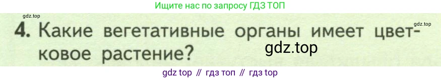 ГДЗ Биология, 6 класс Учебник, авторы: Пасечник Владимир Васильевич, Суматохин Сергей Витальевич, Гапонюк Зоя Георгиевна, Швецов Глеб Геннадьевич, издательство Просвещение, Москва, 2023, белого цвета, страница 136, номер 4, Условие