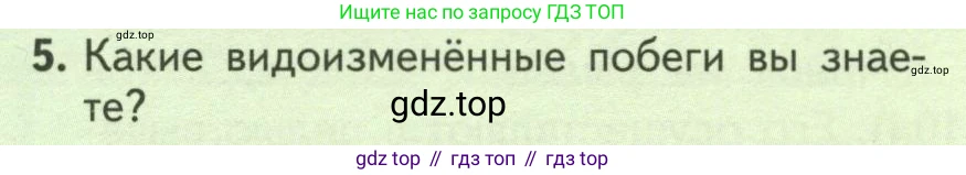 ГДЗ Биология, 6 класс Учебник, авторы: Пасечник Владимир Васильевич, Суматохин Сергей Витальевич, Гапонюк Зоя Георгиевна, Швецов Глеб Геннадьевич, издательство Просвещение, Москва, 2023, белого цвета, страница 136, номер 5, Условие