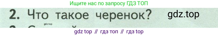 ГДЗ Биология, 6 класс Учебник, авторы: Пасечник Владимир Васильевич, Суматохин Сергей Витальевич, Гапонюк Зоя Георгиевна, Швецов Глеб Геннадьевич, издательство Просвещение, Москва, 2023, белого цвета, страница 142, номер 2, Условие