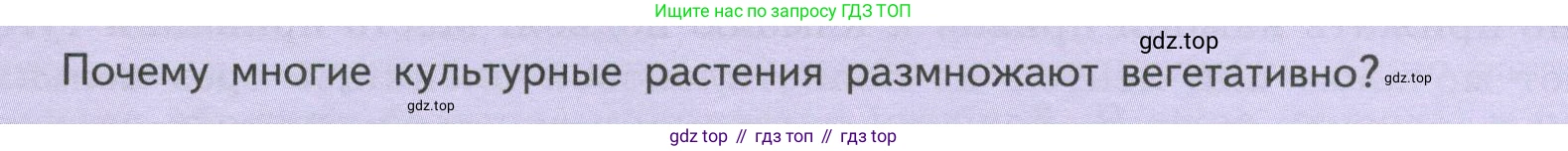 ГДЗ Биология, 6 класс Учебник, авторы: Пасечник Владимир Васильевич, Суматохин Сергей Витальевич, Гапонюк Зоя Георгиевна, Швецов Глеб Геннадьевич, издательство Просвещение, Москва, 2023, белого цвета, страница 142, Условие