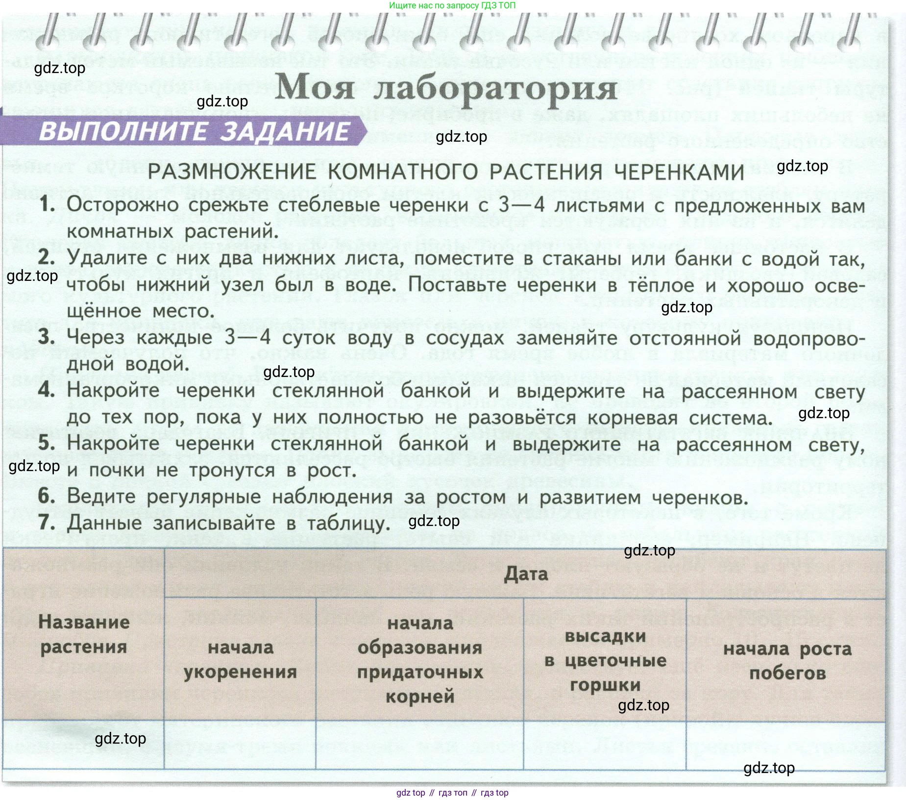 ГДЗ Биология, 6 класс Учебник, авторы: Пасечник Владимир Васильевич, Суматохин Сергей Витальевич, Гапонюк Зоя Георгиевна, Швецов Глеб Геннадьевич, издательство Просвещение, Москва, 2023, белого цвета, страница 142, Условие