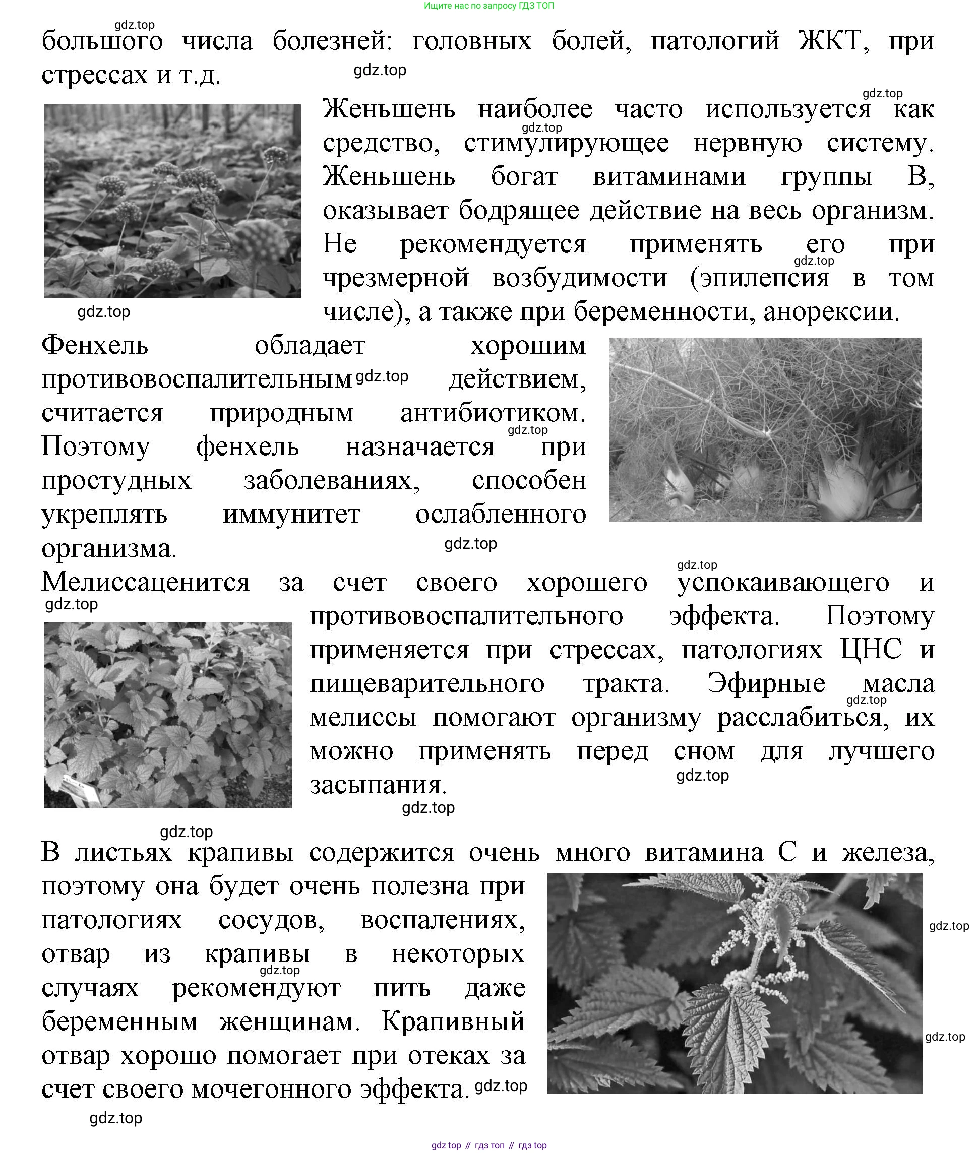 Биология, 6 класс Учебник, авторы: Пасечник Владимир Васильевич, Суматохин Сергей Витальевич, Гапонюк Зоя Георгиевна, Швецов Глеб Геннадьевич, издательство Просвещение, Москва, 2023, белого цвета, страница 9, Решение 1 (продолжение 6)