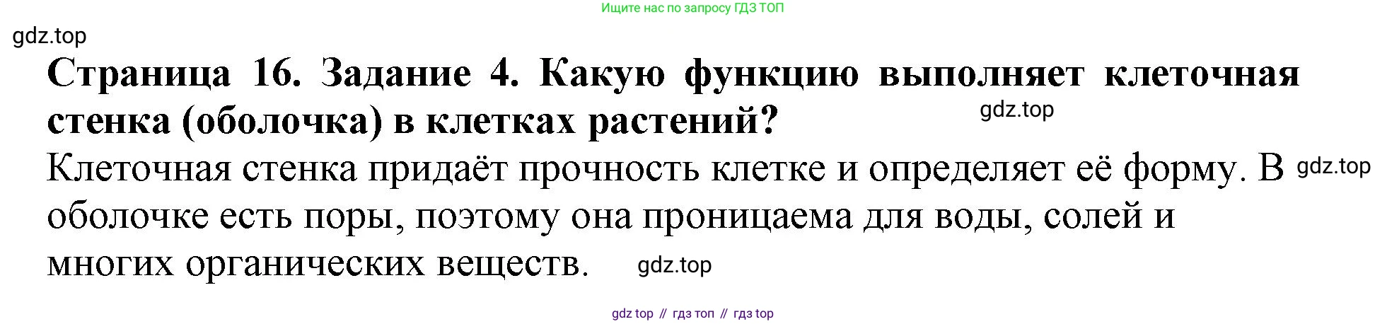 ГДЗ Биология, 6 класс Учебник, авторы: Пасечник Владимир Васильевич, Суматохин Сергей Витальевич, Гапонюк Зоя Георгиевна, Швецов Глеб Геннадьевич, издательство Просвещение, Москва, 2023, белого цвета, страница 16, номер 4, Решение 1
