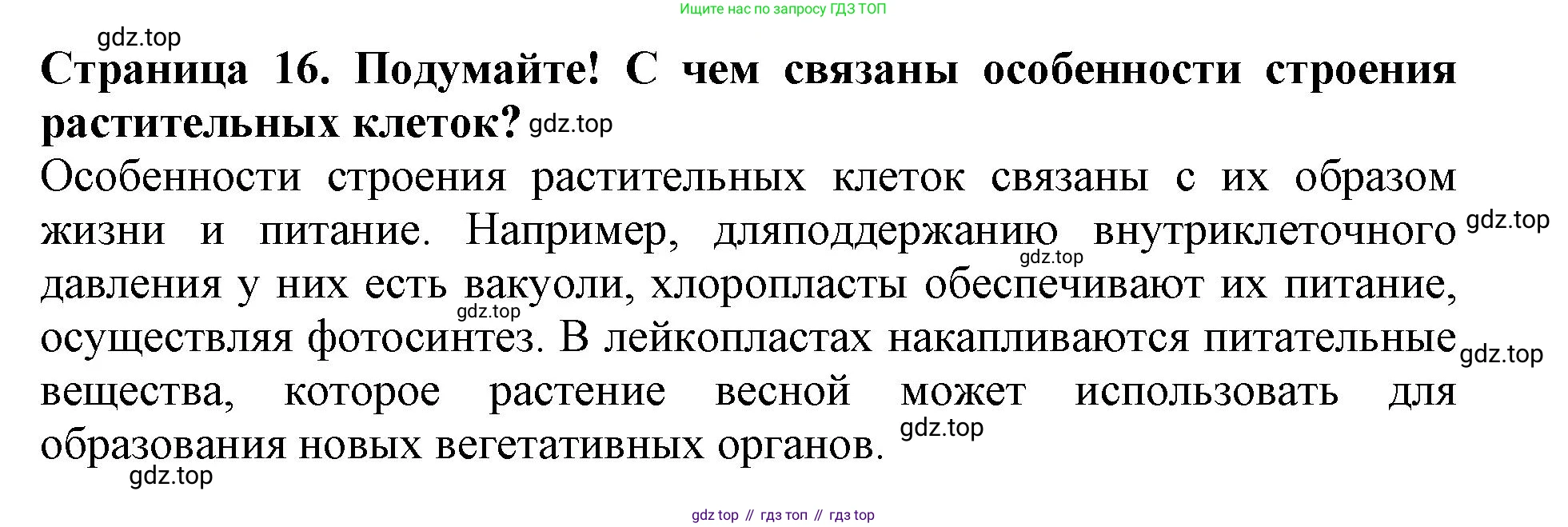 ГДЗ Биология, 6 класс Учебник, авторы: Пасечник Владимир Васильевич, Суматохин Сергей Витальевич, Гапонюк Зоя Георгиевна, Швецов Глеб Геннадьевич, издательство Просвещение, Москва, 2023, белого цвета, страница 16, Решение 1