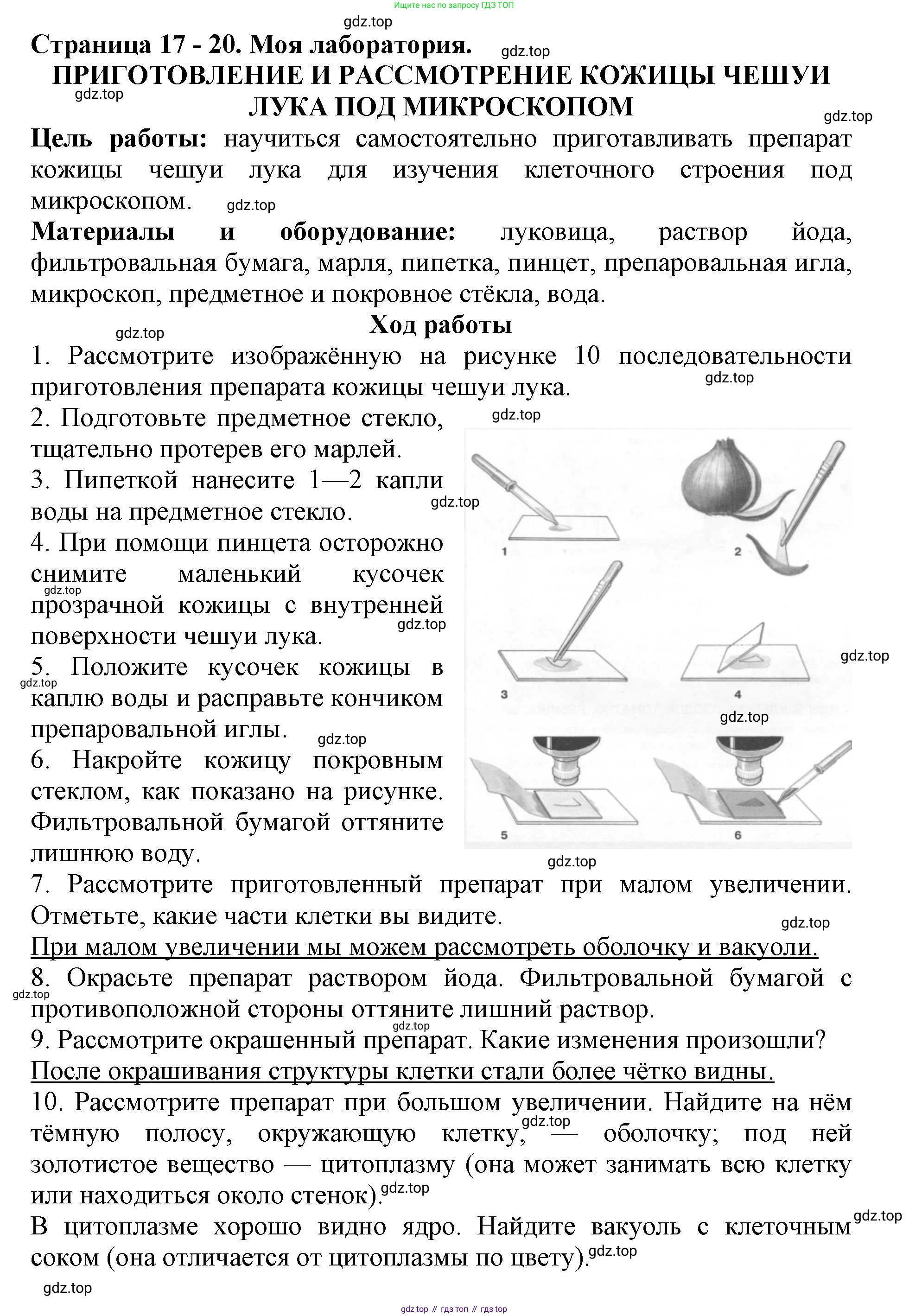 ГДЗ Биология, 6 класс Учебник, авторы: Пасечник Владимир Васильевич, Суматохин Сергей Витальевич, Гапонюк Зоя Георгиевна, Швецов Глеб Геннадьевич, издательство Просвещение, Москва, 2023, белого цвета, страница 17, Решение 1 (продолжение 2)