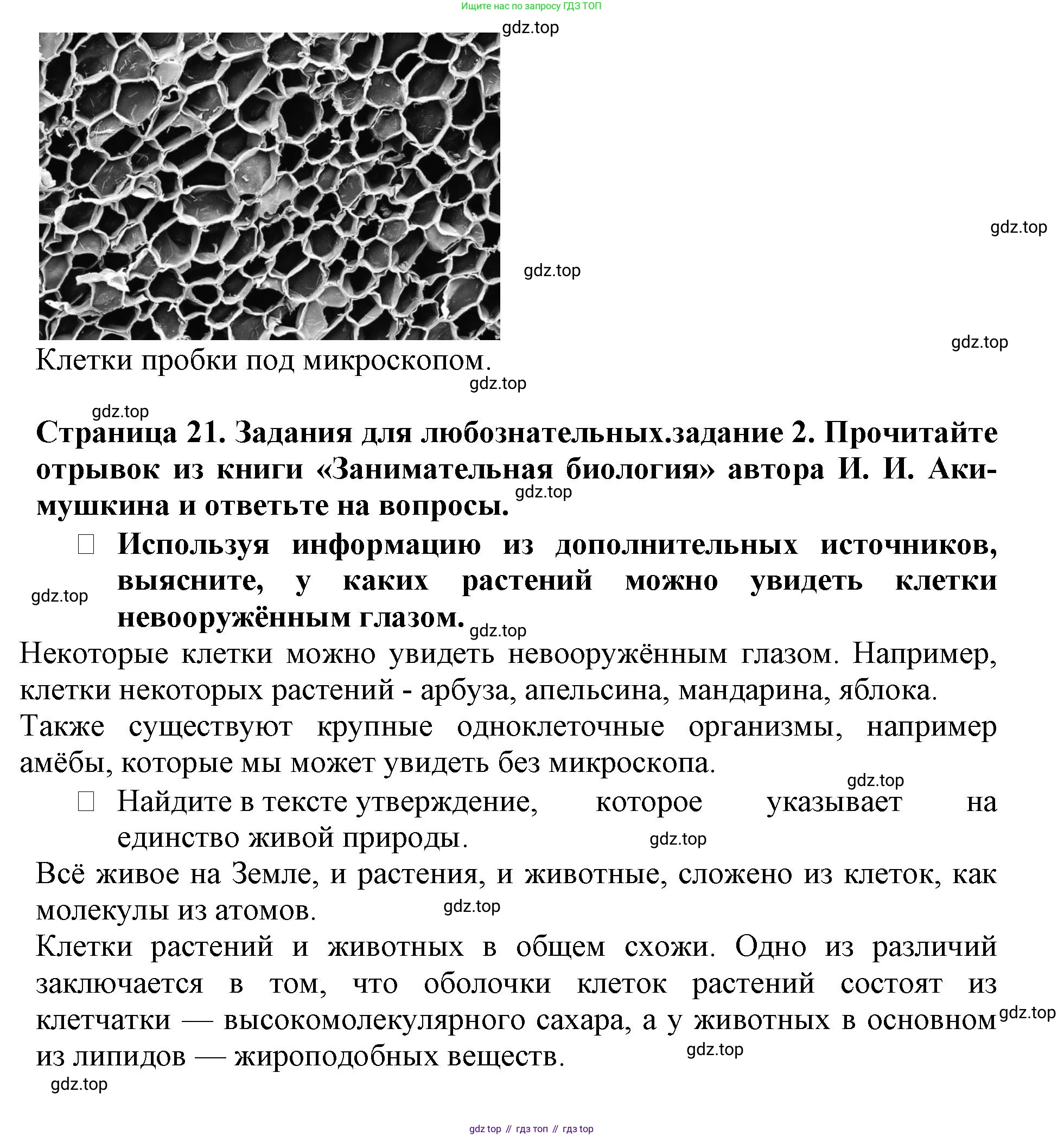 ГДЗ Биология, 6 класс Учебник, авторы: Пасечник Владимир Васильевич, Суматохин Сергей Витальевич, Гапонюк Зоя Георгиевна, Швецов Глеб Геннадьевич, издательство Просвещение, Москва, 2023, белого цвета, страница 17, Решение 1 (продолжение 6)