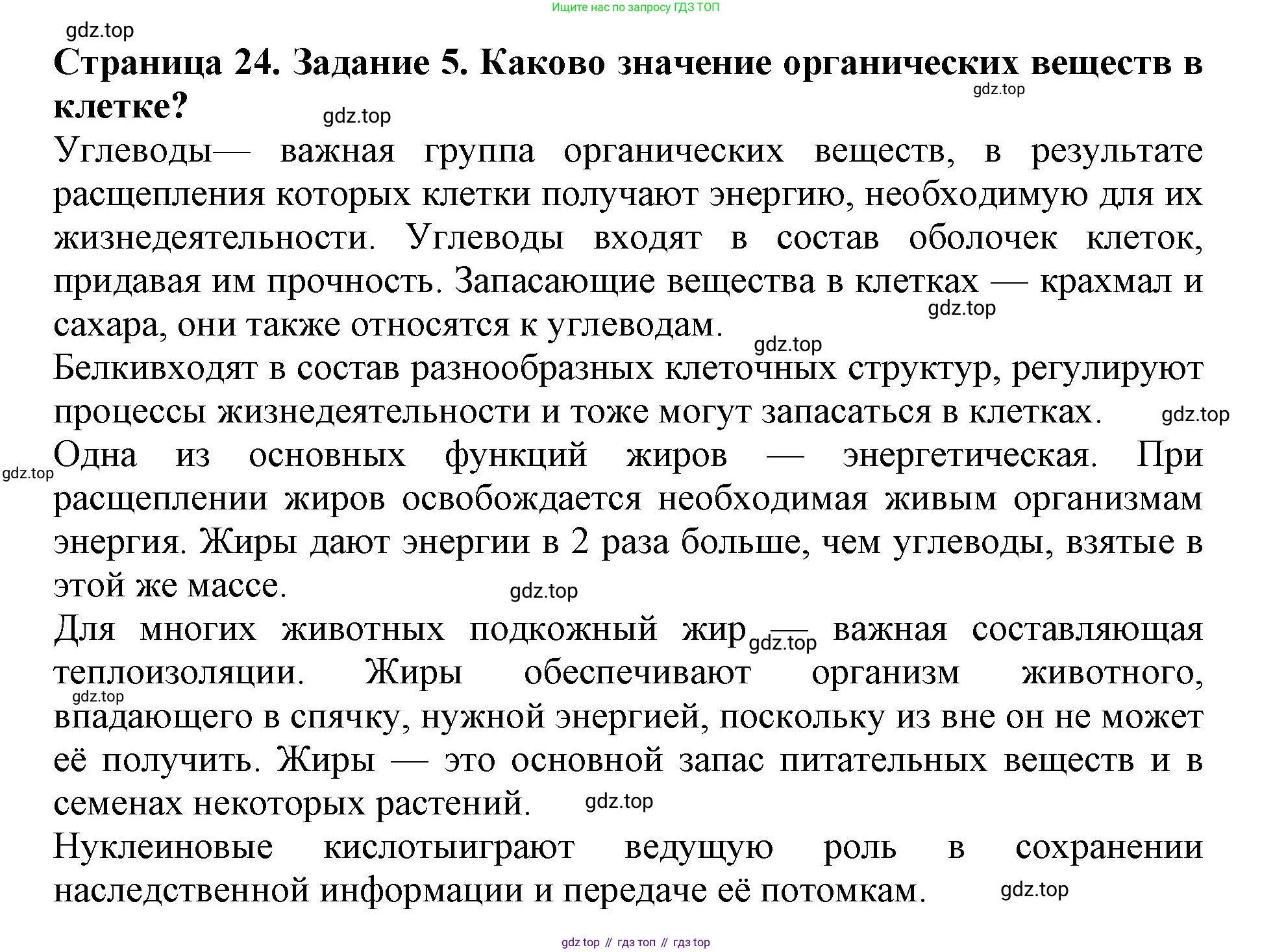 ГДЗ Биология, 6 класс Учебник, авторы: Пасечник Владимир Васильевич, Суматохин Сергей Витальевич, Гапонюк Зоя Георгиевна, Швецов Глеб Геннадьевич, издательство Просвещение, Москва, 2023, белого цвета, страница 24, номер 5, Решение 1
