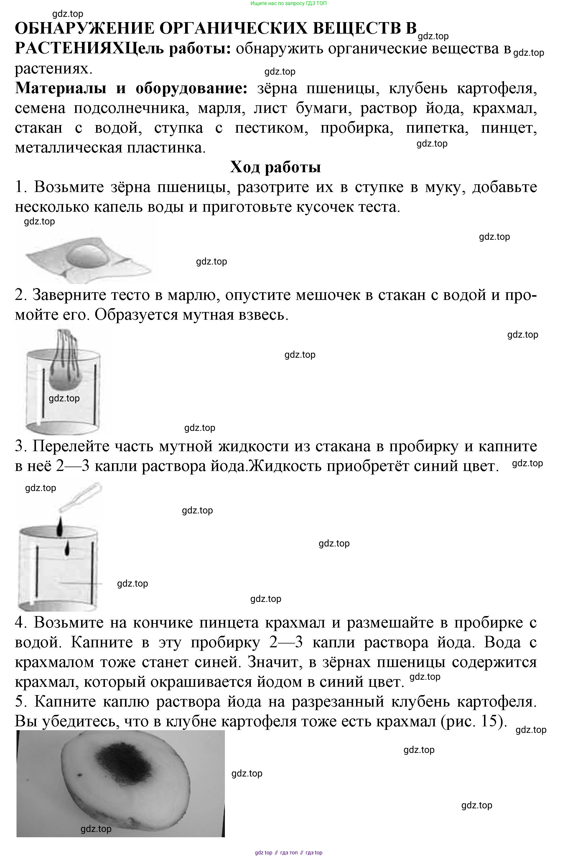 ГДЗ Биология, 6 класс Учебник, авторы: Пасечник Владимир Васильевич, Суматохин Сергей Витальевич, Гапонюк Зоя Георгиевна, Швецов Глеб Геннадьевич, издательство Просвещение, Москва, 2023, белого цвета, страница 24, Решение 1 (продолжение 2)
