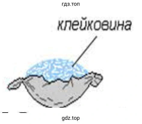 клейковина или растительный белок