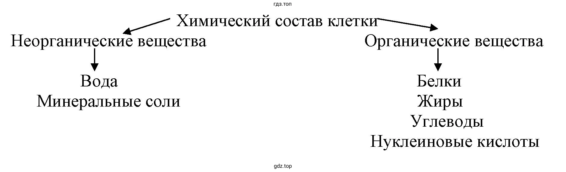 Химический состав клетки
