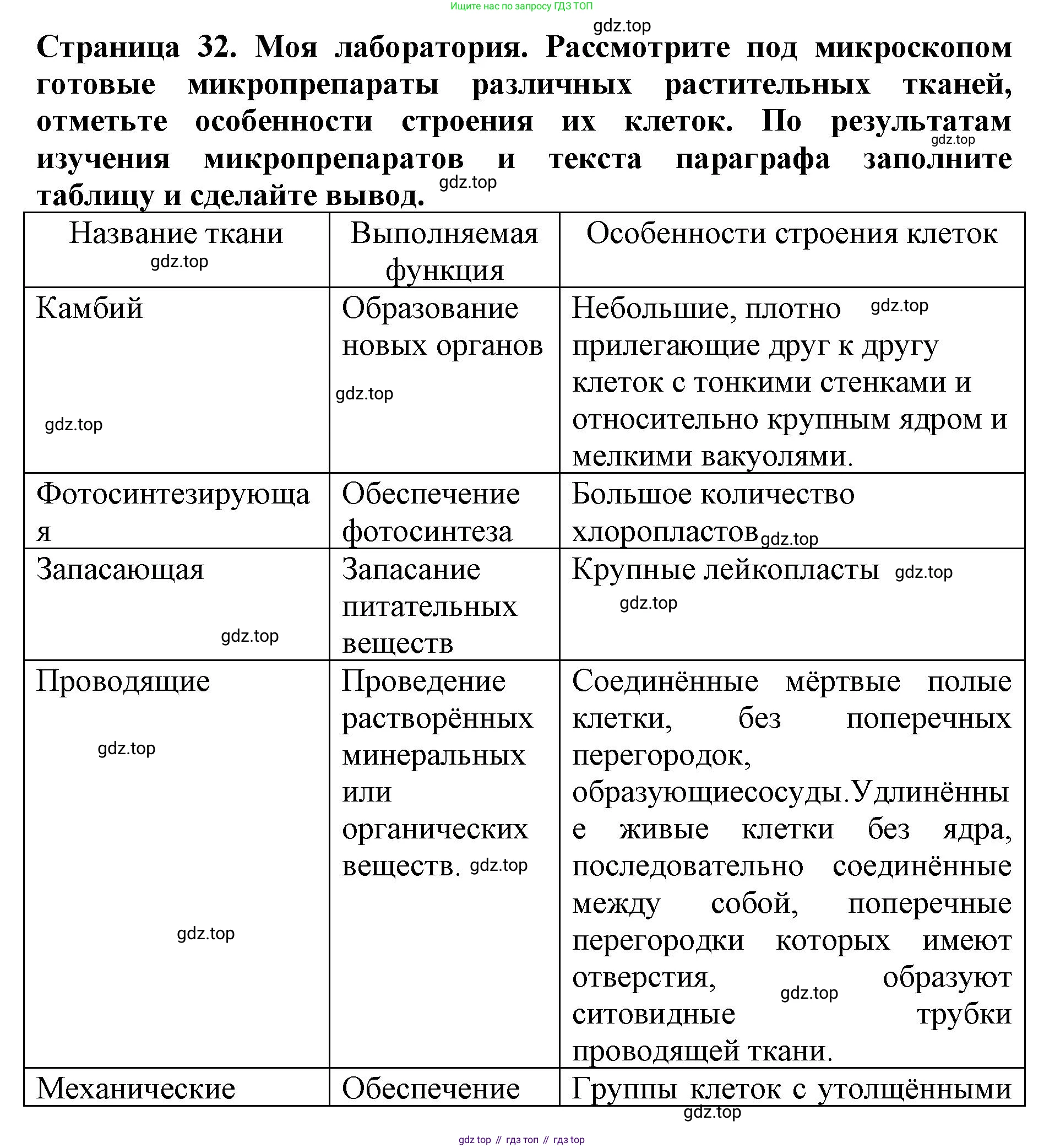 ГДЗ Биология, 6 класс Учебник, авторы: Пасечник Владимир Васильевич, Суматохин Сергей Витальевич, Гапонюк Зоя Георгиевна, Швецов Глеб Геннадьевич, издательство Просвещение, Москва, 2023, белого цвета, страница 32, Решение 1