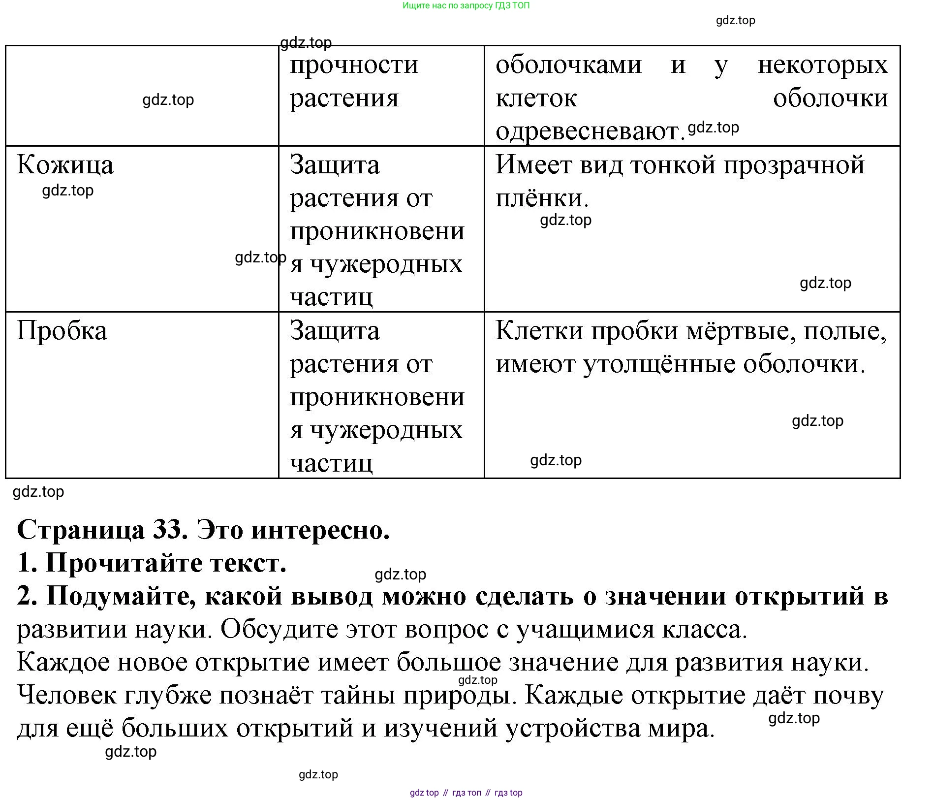 ГДЗ Биология, 6 класс Учебник, авторы: Пасечник Владимир Васильевич, Суматохин Сергей Витальевич, Гапонюк Зоя Георгиевна, Швецов Глеб Геннадьевич, издательство Просвещение, Москва, 2023, белого цвета, страница 32, Решение 1 (продолжение 2)