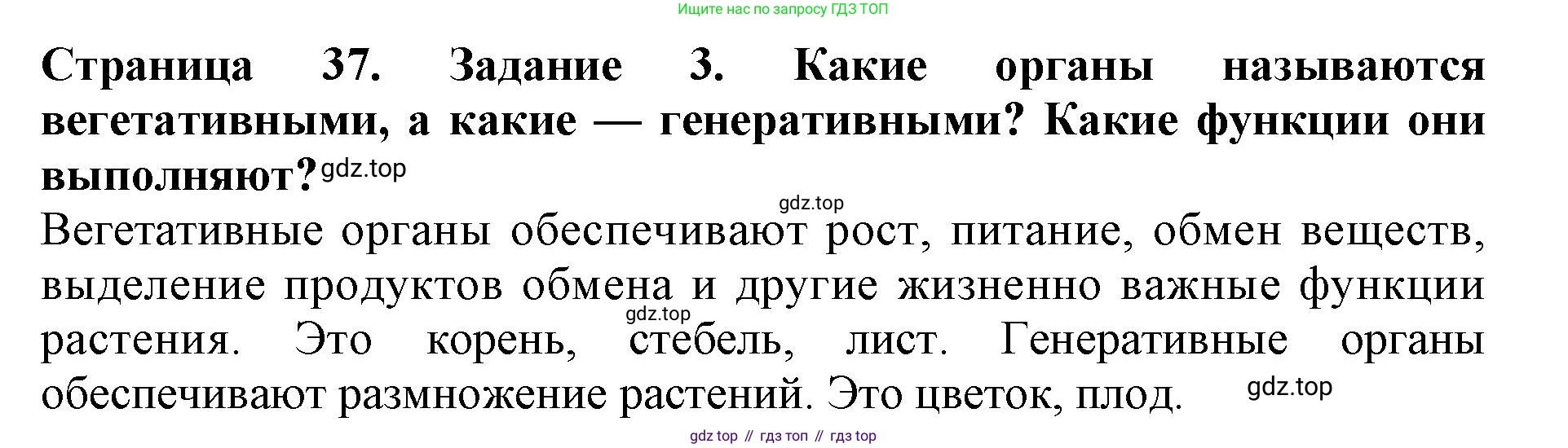 ГДЗ Биология, 6 класс Учебник, авторы: Пасечник Владимир Васильевич, Суматохин Сергей Витальевич, Гапонюк Зоя Георгиевна, Швецов Глеб Геннадьевич, издательство Просвещение, Москва, 2023, белого цвета, страница 37, номер 3, Решение 1