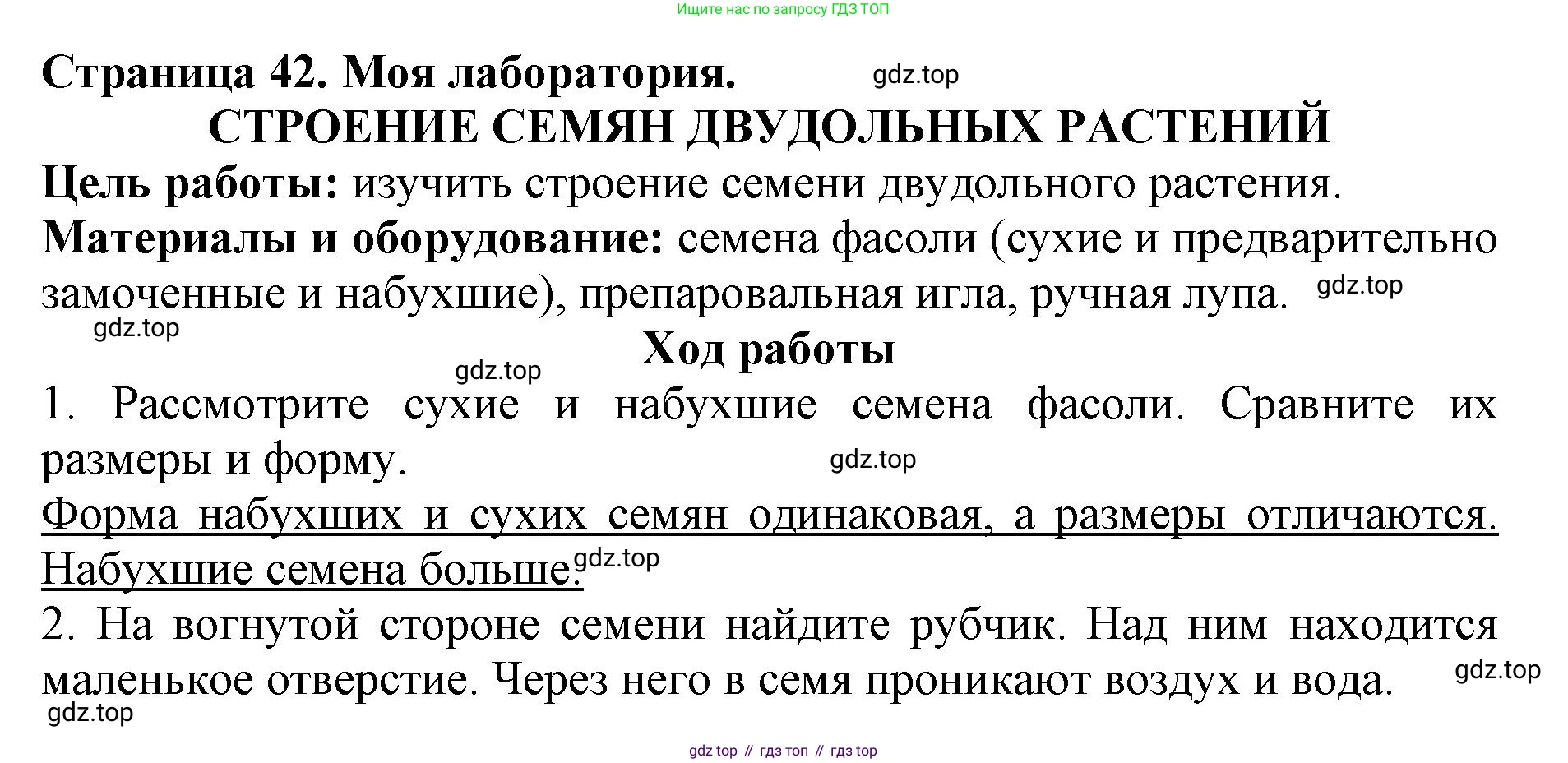 ГДЗ Биология, 6 класс Учебник, авторы: Пасечник Владимир Васильевич, Суматохин Сергей Витальевич, Гапонюк Зоя Георгиевна, Швецов Глеб Геннадьевич, издательство Просвещение, Москва, 2023, белого цвета, страница 42, Решение 1