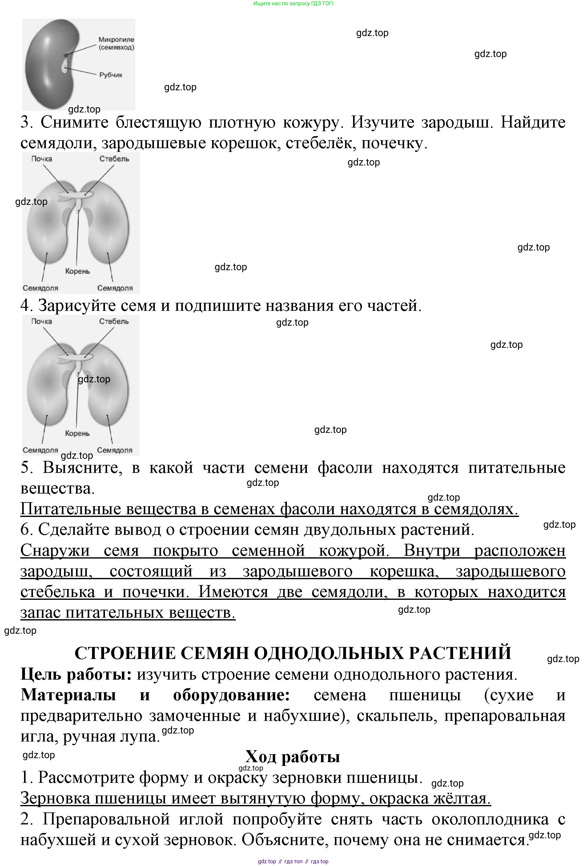 ГДЗ Биология, 6 класс Учебник, авторы: Пасечник Владимир Васильевич, Суматохин Сергей Витальевич, Гапонюк Зоя Георгиевна, Швецов Глеб Геннадьевич, издательство Просвещение, Москва, 2023, белого цвета, страница 42, Решение 1 (продолжение 2)