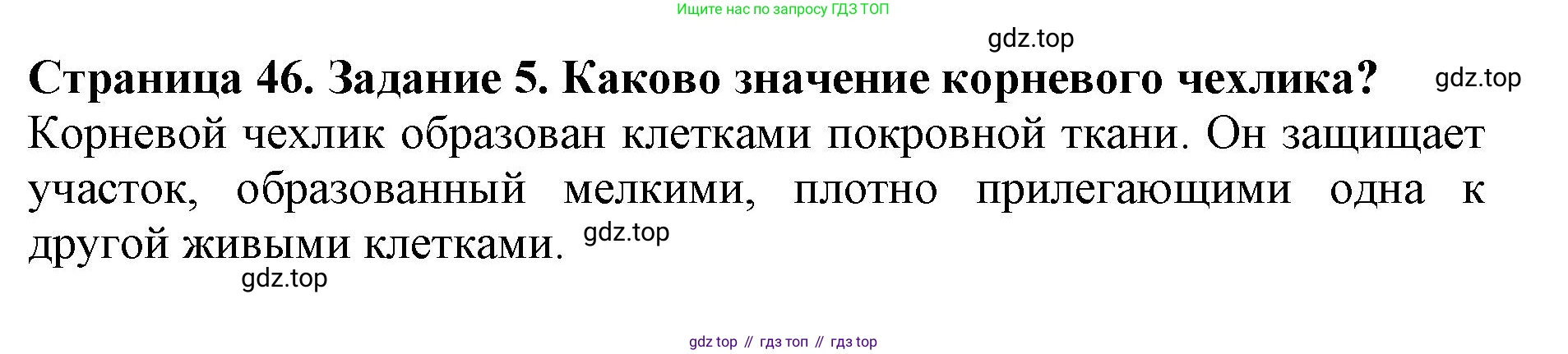 ГДЗ Биология, 6 класс Учебник, авторы: Пасечник Владимир Васильевич, Суматохин Сергей Витальевич, Гапонюк Зоя Георгиевна, Швецов Глеб Геннадьевич, издательство Просвещение, Москва, 2023, белого цвета, страница 46, номер 5, Решение 1