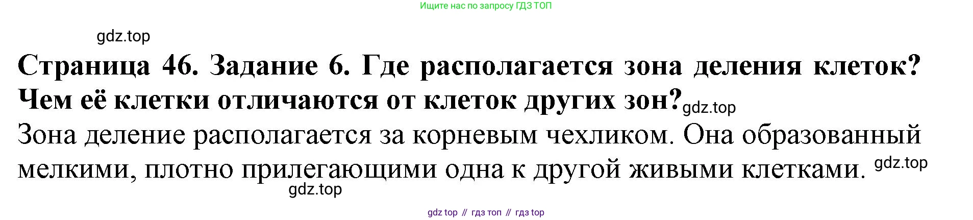 ГДЗ Биология, 6 класс Учебник, авторы: Пасечник Владимир Васильевич, Суматохин Сергей Витальевич, Гапонюк Зоя Георгиевна, Швецов Глеб Геннадьевич, издательство Просвещение, Москва, 2023, белого цвета, страница 46, номер 6, Решение 1