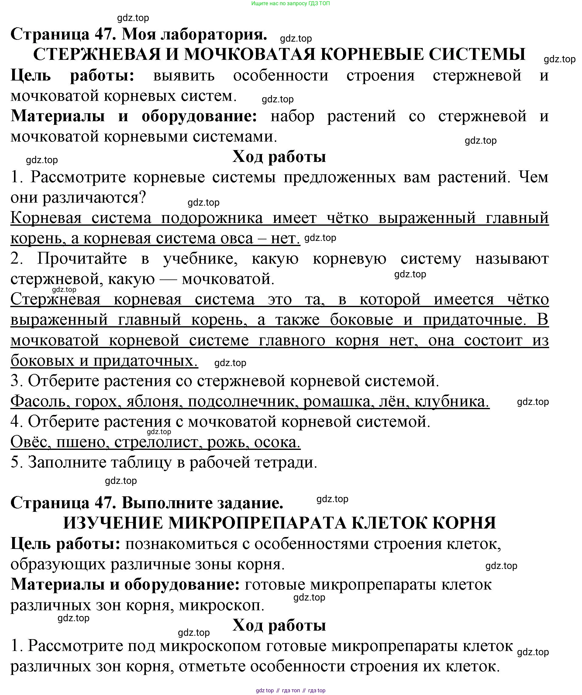 Биология, 6 класс Учебник, авторы: Пасечник Владимир Васильевич, Суматохин Сергей Витальевич, Гапонюк Зоя Георгиевна, Швецов Глеб Геннадьевич, издательство Просвещение, Москва, 2023, белого цвета, страница 47, Решение 1