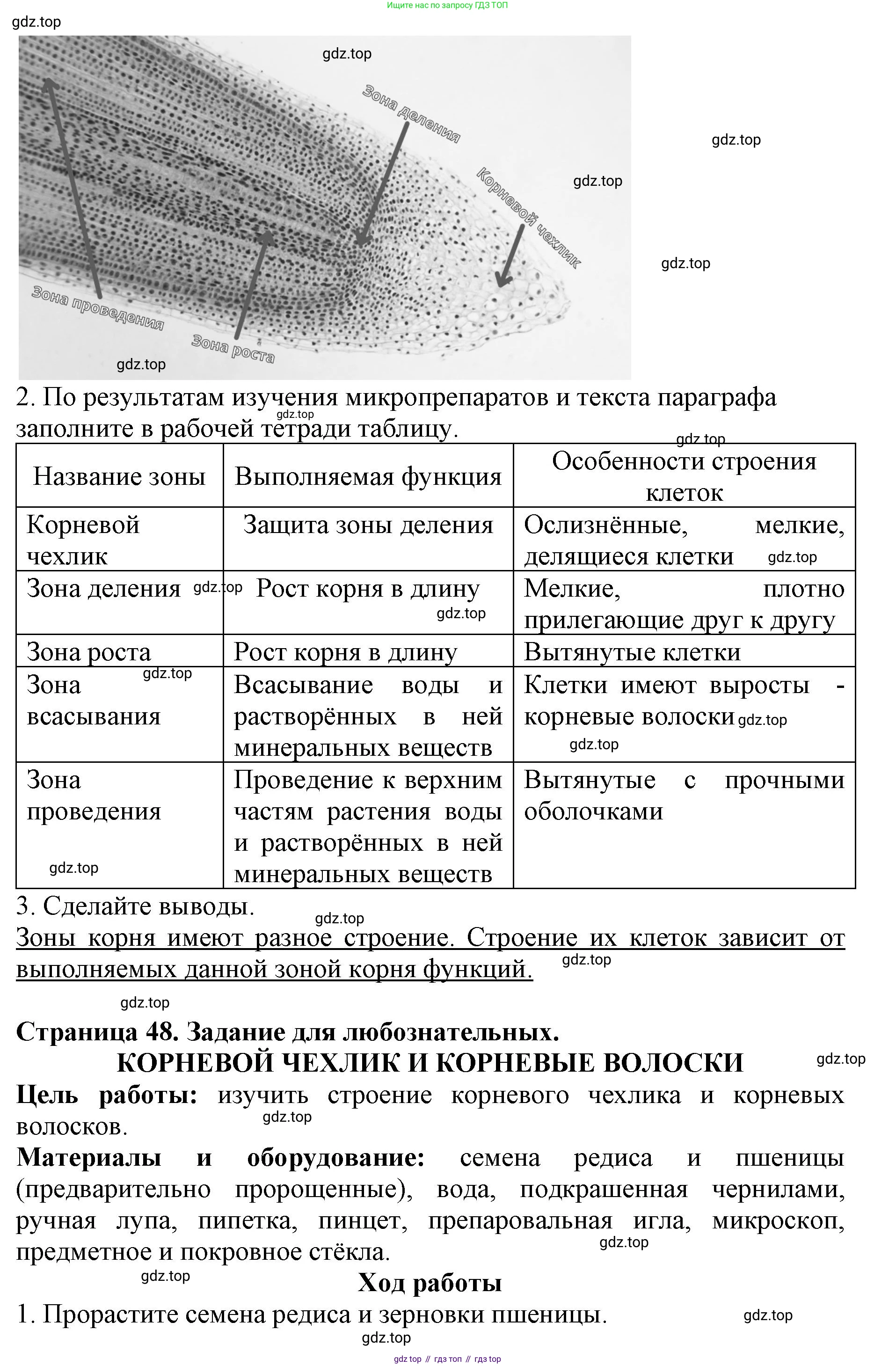 Биология, 6 класс Учебник, авторы: Пасечник Владимир Васильевич, Суматохин Сергей Витальевич, Гапонюк Зоя Георгиевна, Швецов Глеб Геннадьевич, издательство Просвещение, Москва, 2023, белого цвета, страница 47, Решение 1 (продолжение 2)