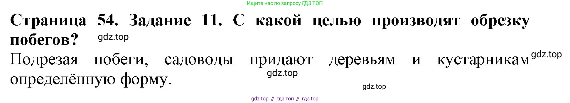 ГДЗ Биология, 6 класс Учебник, авторы: Пасечник Владимир Васильевич, Суматохин Сергей Витальевич, Гапонюк Зоя Георгиевна, Швецов Глеб Геннадьевич, издательство Просвещение, Москва, 2023, белого цвета, страница 54, номер 11, Решение 1