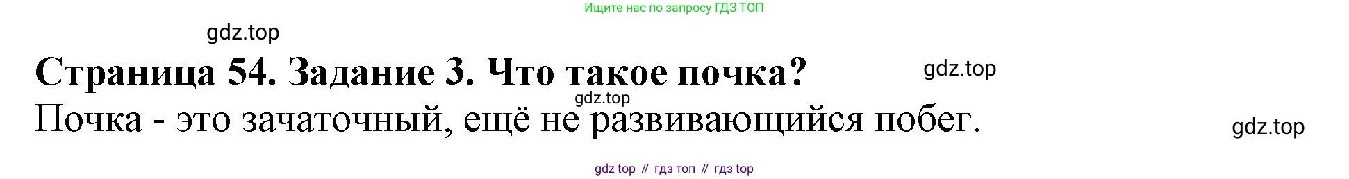 ГДЗ Биология, 6 класс Учебник, авторы: Пасечник Владимир Васильевич, Суматохин Сергей Витальевич, Гапонюк Зоя Георгиевна, Швецов Глеб Геннадьевич, издательство Просвещение, Москва, 2023, белого цвета, страница 54, номер 3, Решение 1