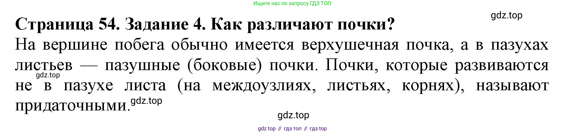 ГДЗ Биология, 6 класс Учебник, авторы: Пасечник Владимир Васильевич, Суматохин Сергей Витальевич, Гапонюк Зоя Георгиевна, Швецов Глеб Геннадьевич, издательство Просвещение, Москва, 2023, белого цвета, страница 54, номер 4, Решение 1