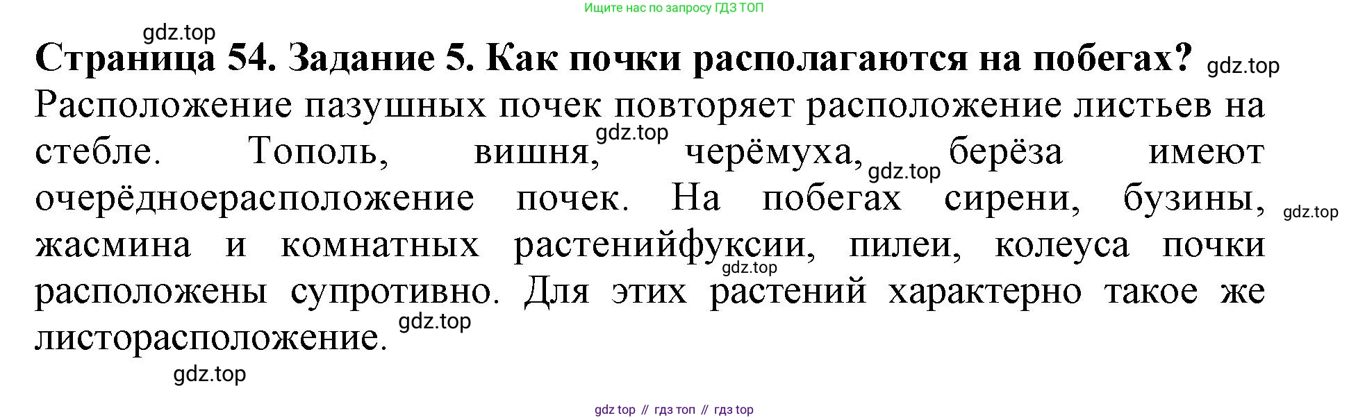 ГДЗ Биология, 6 класс Учебник, авторы: Пасечник Владимир Васильевич, Суматохин Сергей Витальевич, Гапонюк Зоя Георгиевна, Швецов Глеб Геннадьевич, издательство Просвещение, Москва, 2023, белого цвета, страница 54, номер 5, Решение 1