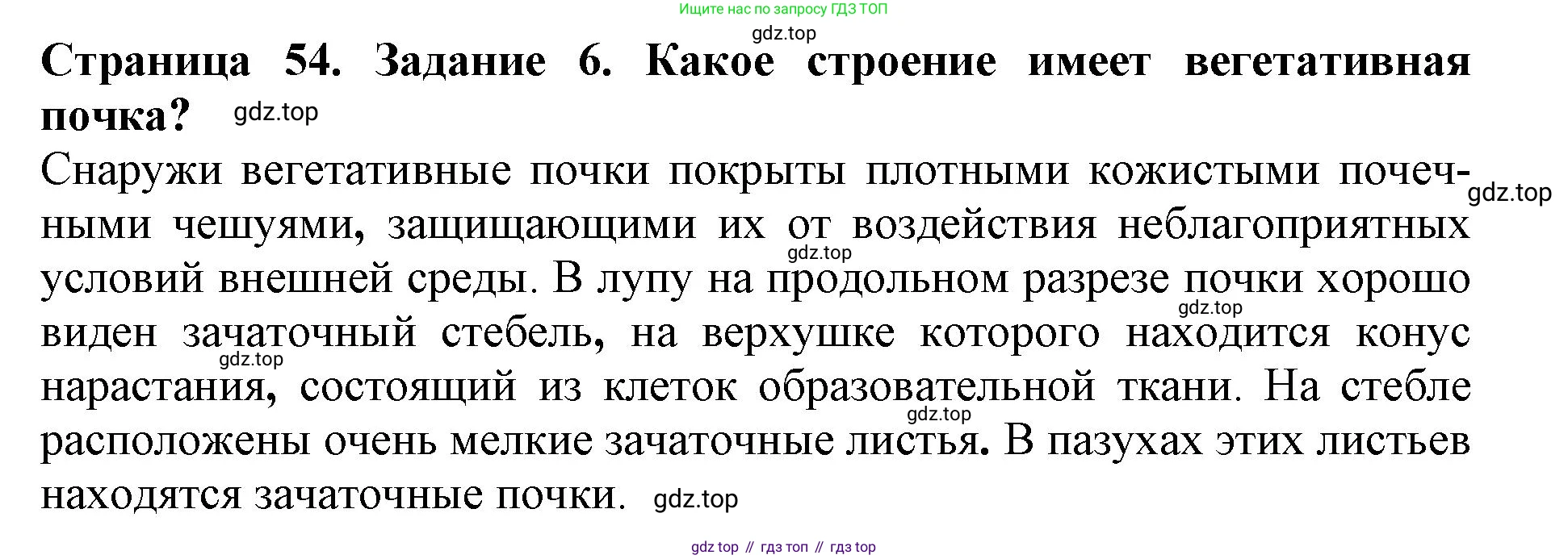 ГДЗ Биология, 6 класс Учебник, авторы: Пасечник Владимир Васильевич, Суматохин Сергей Витальевич, Гапонюк Зоя Георгиевна, Швецов Глеб Геннадьевич, издательство Просвещение, Москва, 2023, белого цвета, страница 54, номер 6, Решение 1