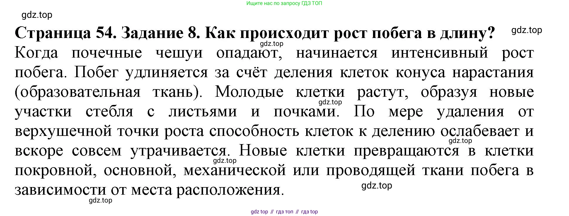 ГДЗ Биология, 6 класс Учебник, авторы: Пасечник Владимир Васильевич, Суматохин Сергей Витальевич, Гапонюк Зоя Георгиевна, Швецов Глеб Геннадьевич, издательство Просвещение, Москва, 2023, белого цвета, страница 54, номер 8, Решение 1