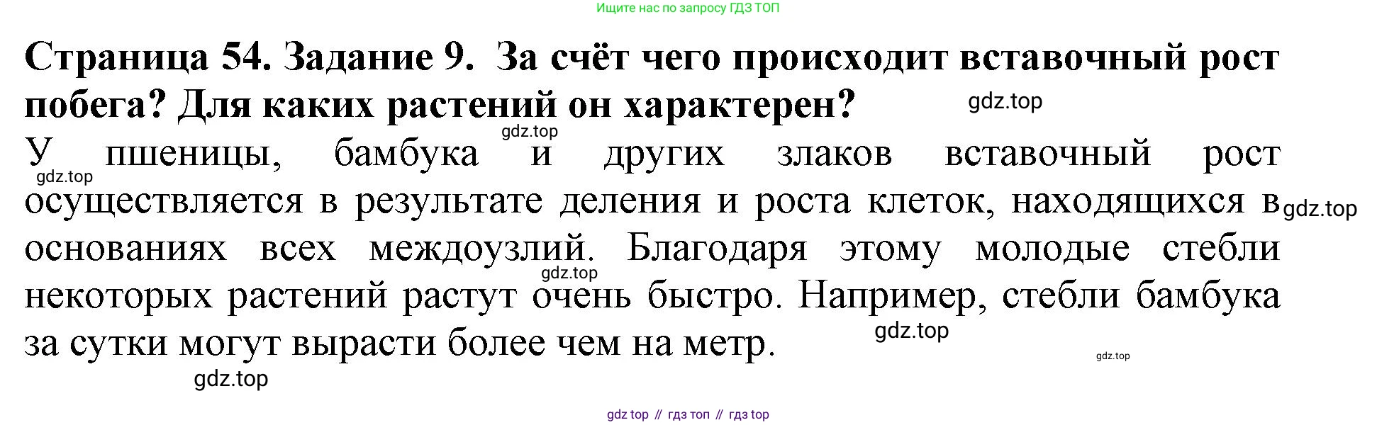ГДЗ Биология, 6 класс Учебник, авторы: Пасечник Владимир Васильевич, Суматохин Сергей Витальевич, Гапонюк Зоя Георгиевна, Швецов Глеб Геннадьевич, издательство Просвещение, Москва, 2023, белого цвета, страница 54, номер 9, Решение 1