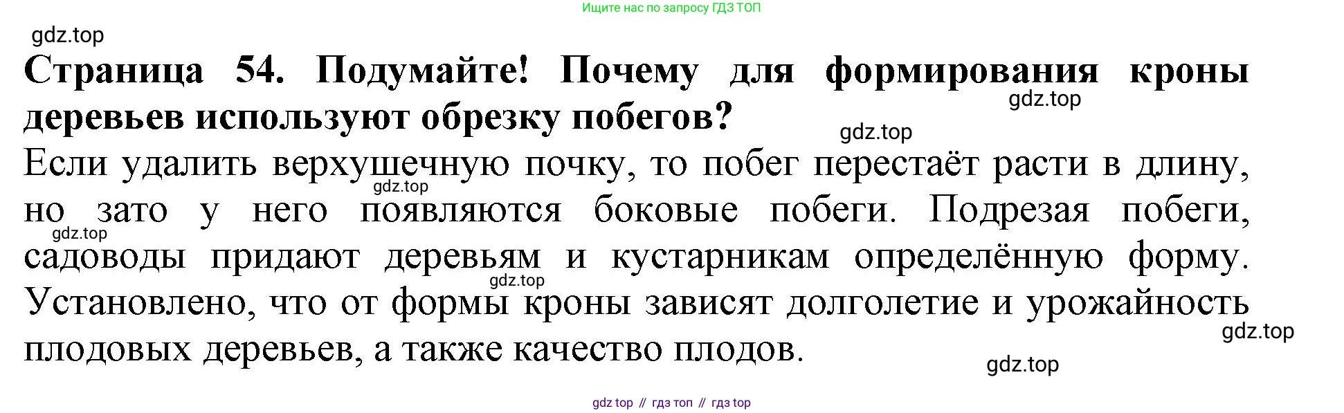 ГДЗ Биология, 6 класс Учебник, авторы: Пасечник Владимир Васильевич, Суматохин Сергей Витальевич, Гапонюк Зоя Георгиевна, Швецов Глеб Геннадьевич, издательство Просвещение, Москва, 2023, белого цвета, страница 54, Решение 1