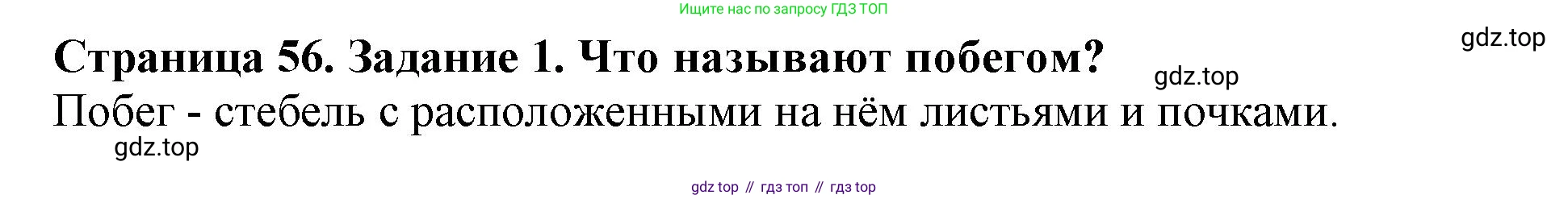 ГДЗ Биология, 6 класс Учебник, авторы: Пасечник Владимир Васильевич, Суматохин Сергей Витальевич, Гапонюк Зоя Георгиевна, Швецов Глеб Геннадьевич, издательство Просвещение, Москва, 2023, белого цвета, страница 56, номер 1, Решение 1