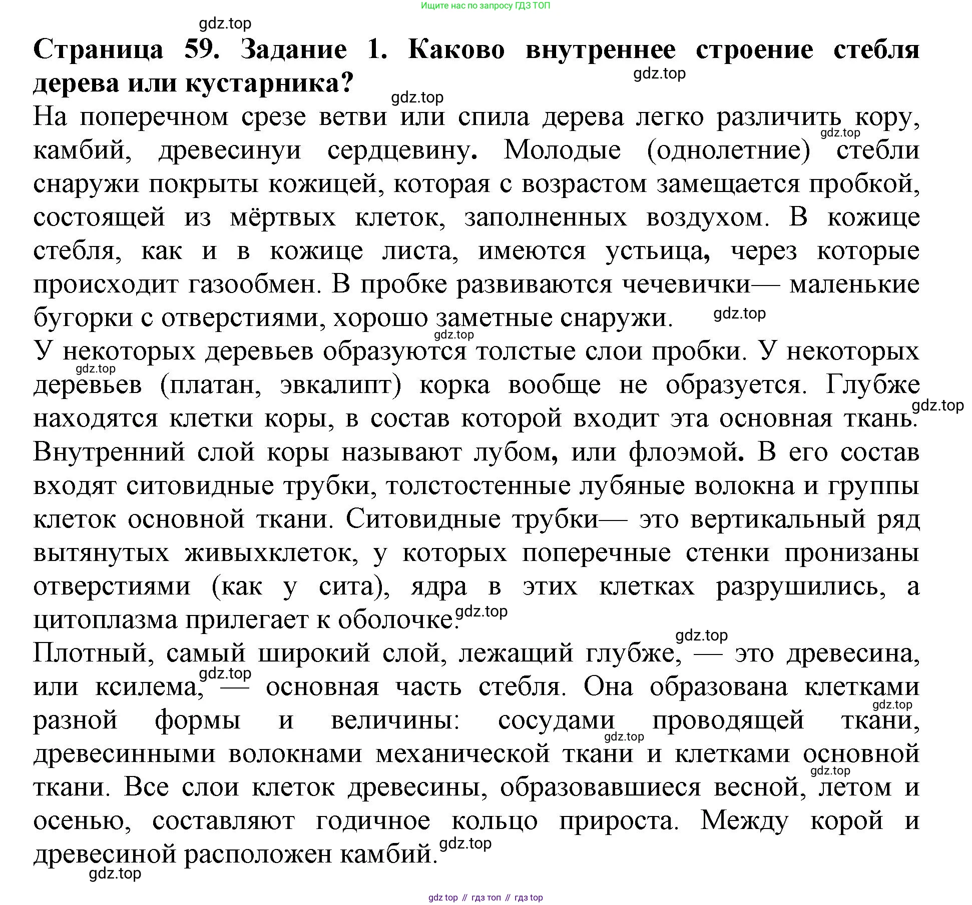 ГДЗ Биология, 6 класс Учебник, авторы: Пасечник Владимир Васильевич, Суматохин Сергей Витальевич, Гапонюк Зоя Георгиевна, Швецов Глеб Геннадьевич, издательство Просвещение, Москва, 2023, белого цвета, страница 59, номер 1, Решение 1