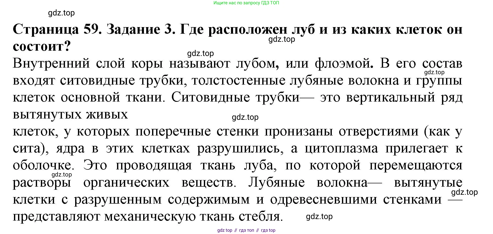 ГДЗ Биология, 6 класс Учебник, авторы: Пасечник Владимир Васильевич, Суматохин Сергей Витальевич, Гапонюк Зоя Георгиевна, Швецов Глеб Геннадьевич, издательство Просвещение, Москва, 2023, белого цвета, страница 59, номер 3, Решение 1