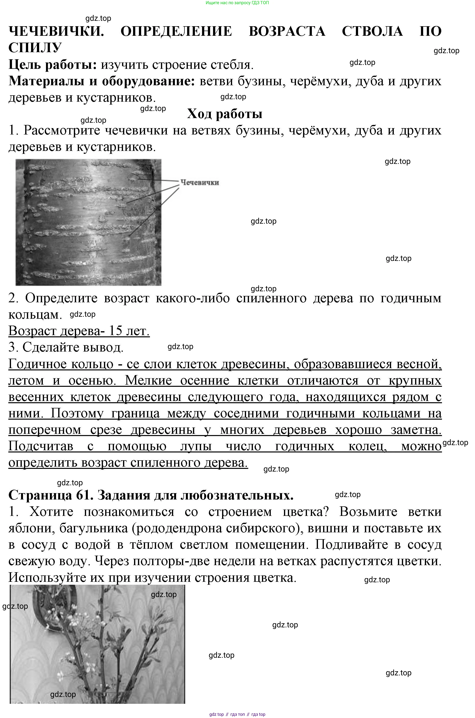 Биология, 6 класс Учебник, авторы: Пасечник Владимир Васильевич, Суматохин Сергей Витальевич, Гапонюк Зоя Георгиевна, Швецов Глеб Геннадьевич, издательство Просвещение, Москва, 2023, белого цвета, страница 60, Решение 1 (продолжение 3)