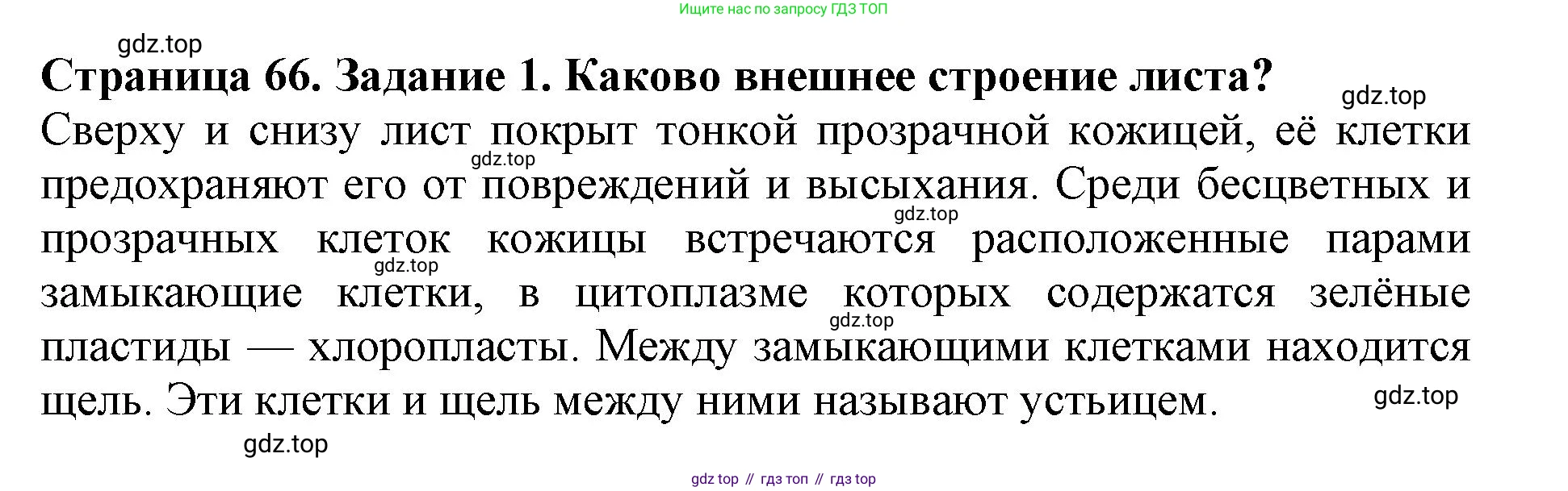 ГДЗ Биология, 6 класс Учебник, авторы: Пасечник Владимир Васильевич, Суматохин Сергей Витальевич, Гапонюк Зоя Георгиевна, Швецов Глеб Геннадьевич, издательство Просвещение, Москва, 2023, белого цвета, страница 66, номер 1, Решение 1