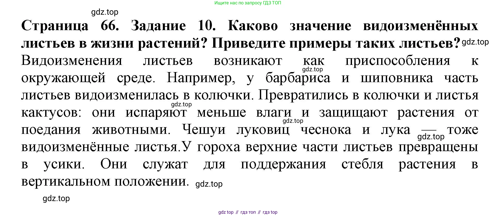 ГДЗ Биология, 6 класс Учебник, авторы: Пасечник Владимир Васильевич, Суматохин Сергей Витальевич, Гапонюк Зоя Георгиевна, Швецов Глеб Геннадьевич, издательство Просвещение, Москва, 2023, белого цвета, страница 66, номер 10, Решение 1