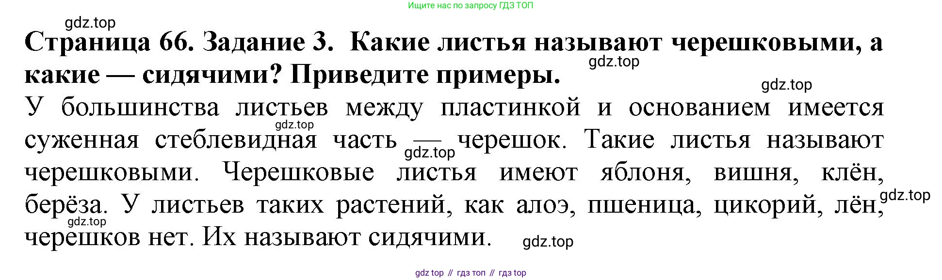 ГДЗ Биология, 6 класс Учебник, авторы: Пасечник Владимир Васильевич, Суматохин Сергей Витальевич, Гапонюк Зоя Георгиевна, Швецов Глеб Геннадьевич, издательство Просвещение, Москва, 2023, белого цвета, страница 66, номер 3, Решение 1