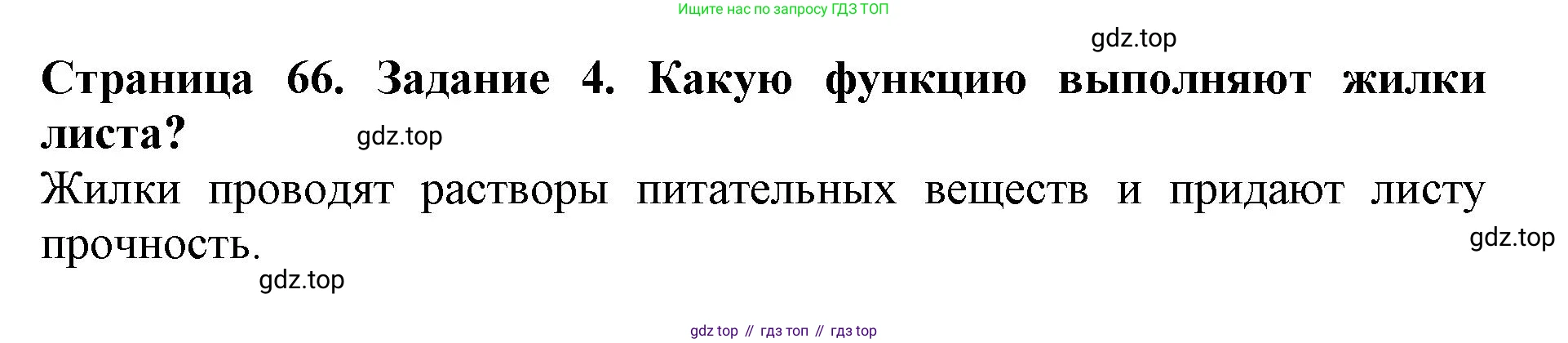 ГДЗ Биология, 6 класс Учебник, авторы: Пасечник Владимир Васильевич, Суматохин Сергей Витальевич, Гапонюк Зоя Георгиевна, Швецов Глеб Геннадьевич, издательство Просвещение, Москва, 2023, белого цвета, страница 66, номер 4, Решение 1